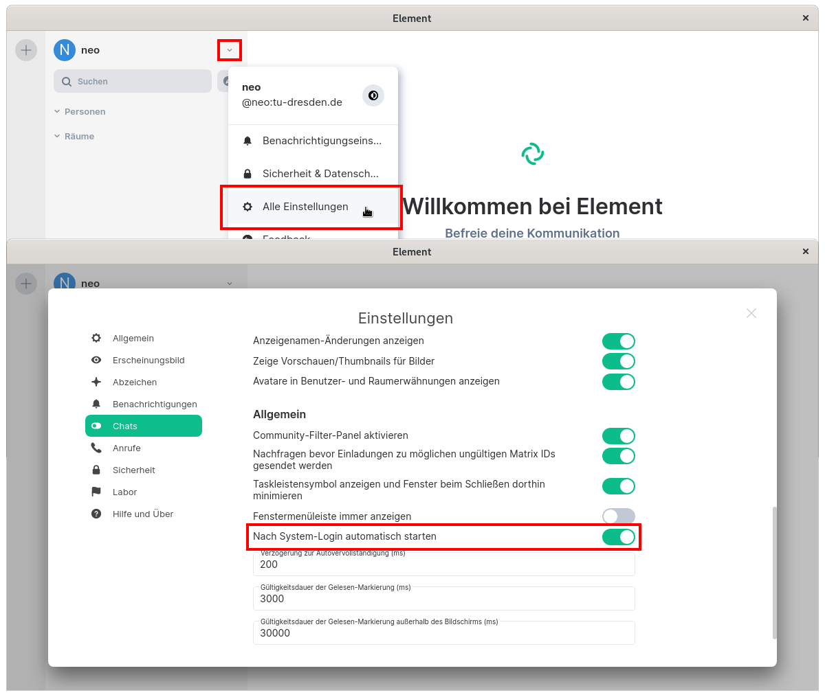 Einstellungen mit dem Punkt nach Systemstart automatisch starten markiert