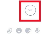 Marking of the button jumping to the newest message