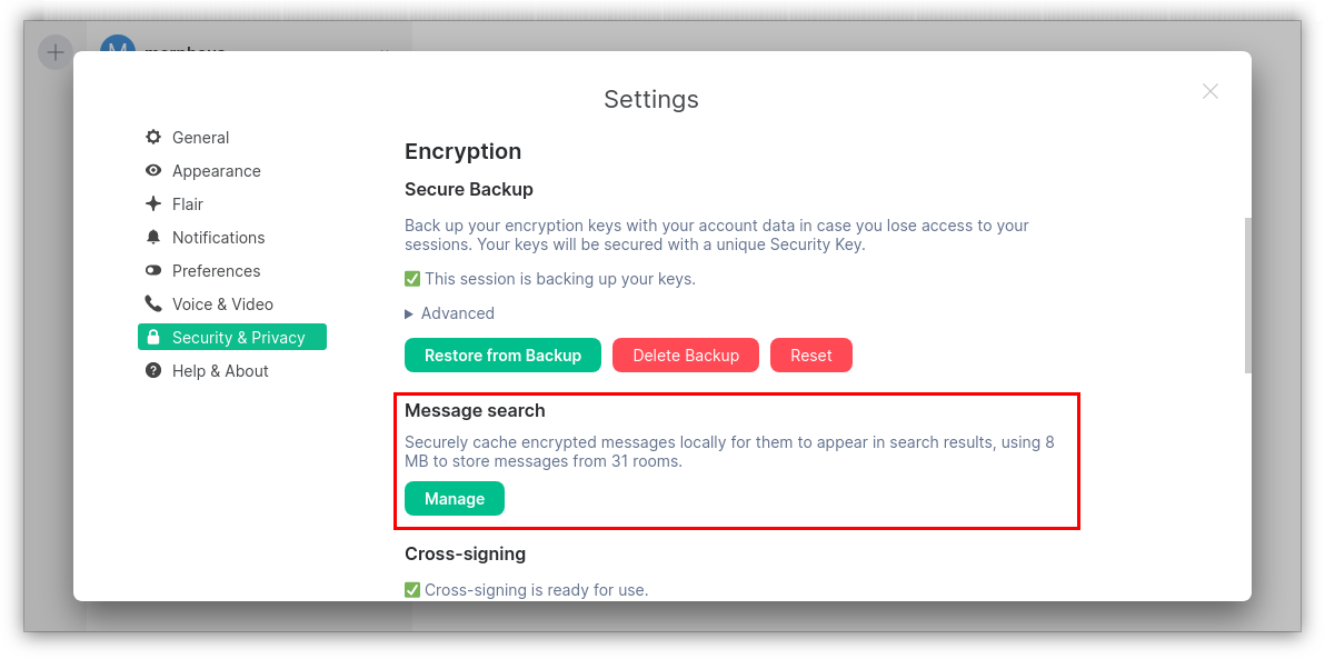 Settings section for enabling message search